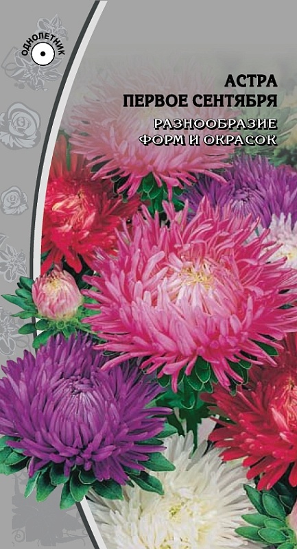 Астра Первое сентября  0,2 гр