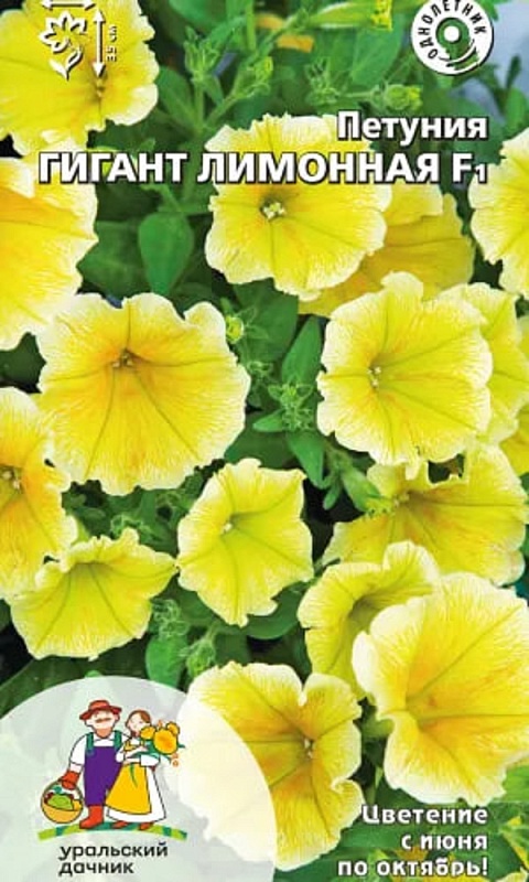 Петуния Гигант лимонная F1 (УД) 10 шт