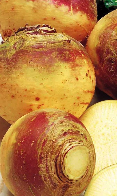 Брюква Счастья полная чаша (Функциональное питание) 0,5 гр