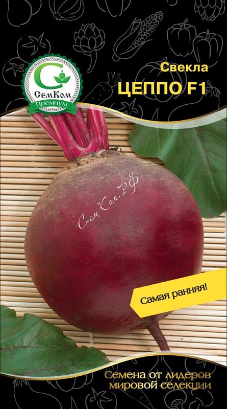 Свекла Цеппо F1 (Rijk Zwaan) 1 гр, цв.п