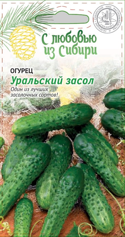 Огурец Уральский засол 0,25 гр цв.п. (Сибирская серия)