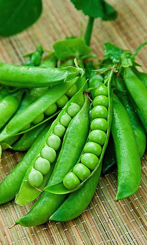 Горох Николас (УД) 8 гр цв.п.