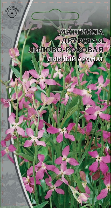 Маттиола Двурогая Лилово-розовая  0,3 гр