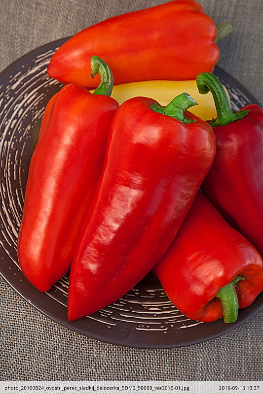 Перец сладкий Белозерка 0,1 гр цв.п