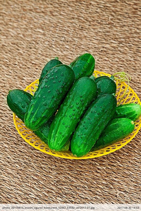 Огурец Конкурент 0,25 гр цв.п.