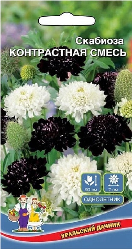 Скабиоза Контрастная смесь (УД) 0,2 гр