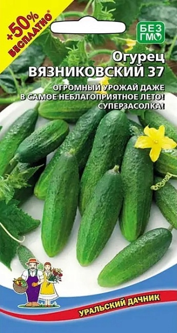 Огурец Вязниковский 37 (УД) 10 шт цв.п