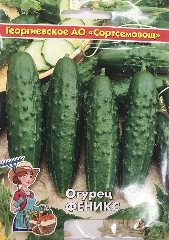 Огурец Феникс 5 гр цв п (Сортсемовощ)