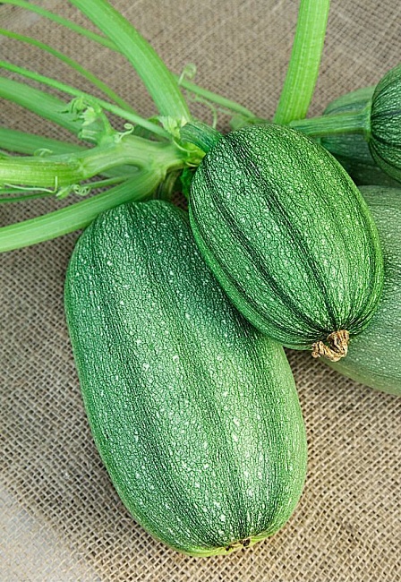 Кабачок Кулинарный (спагетти)  1 гр  цв.п