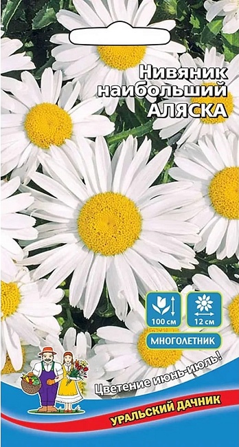 Нивяник наибольший Аляска (УД) 0,25 гр цв п