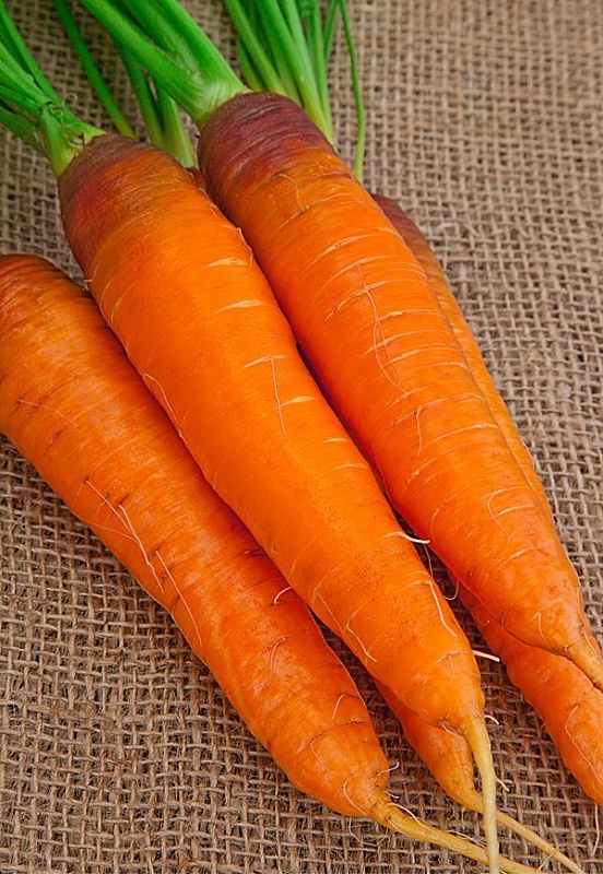 Морковь Шантенэ Роял  2 гр б.п.