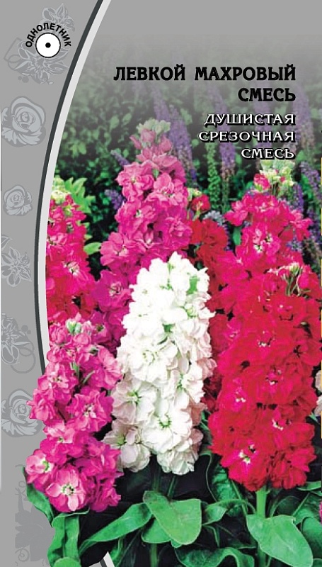 Левкой махровый смесь 0,1 гр