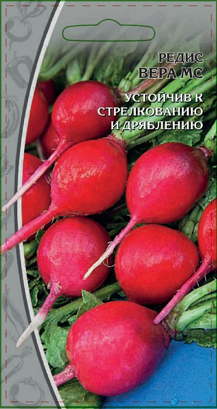 Редис Вера МС 3 гр цв.п.