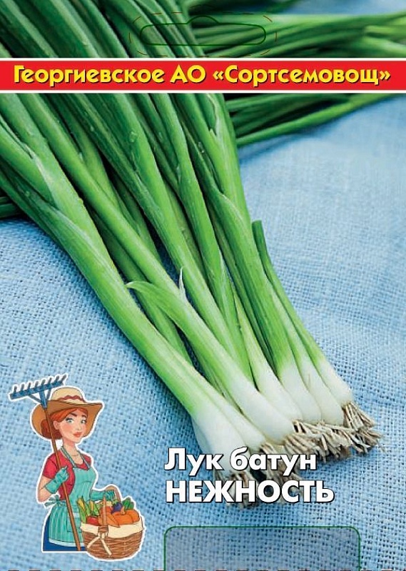 Лук батун Нежность 10 гр цв.п (Сортсемовощ)