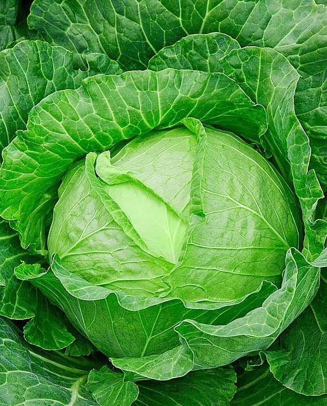 Капуста белокочанная Слава 1305 1 гр б.п.