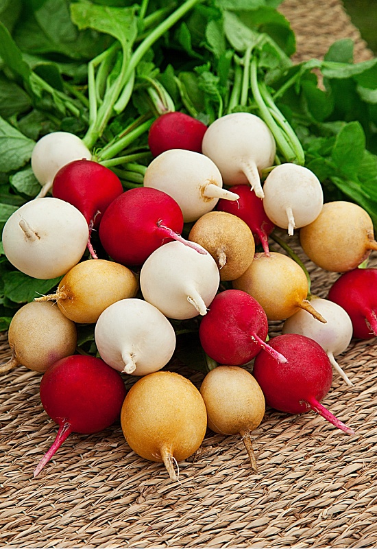 Редис Веселая семейка 2 гр цв.п.