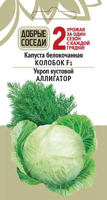 Капуста белокочанная КОЛОБОК F1 и Укроп кустовой АЛЛИГАТОР