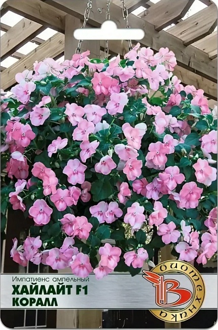 Бальзамин (импатиенс) ампельный Хайлайт F1 Коралл 10 шт