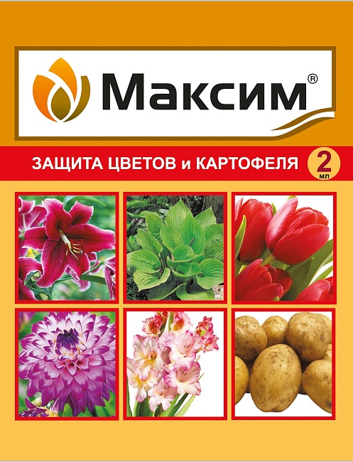 Максим, защита цветов и картофеля 