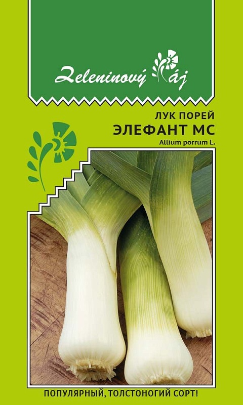 Лук порей Элефант МС (УД) 0,25 гр. цв.п.