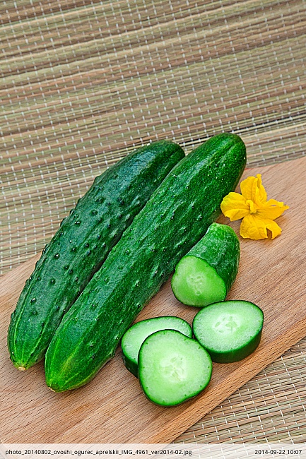 Огурец Апрельский F1 0,2 гр  цв.п