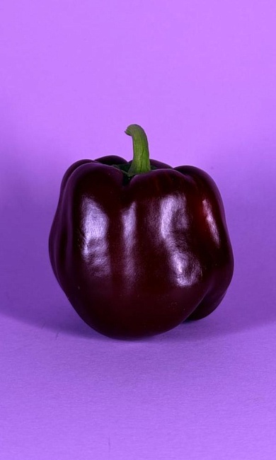 Перец сладкий Мегатон молочный шоколад F1 (УД) 12 шт