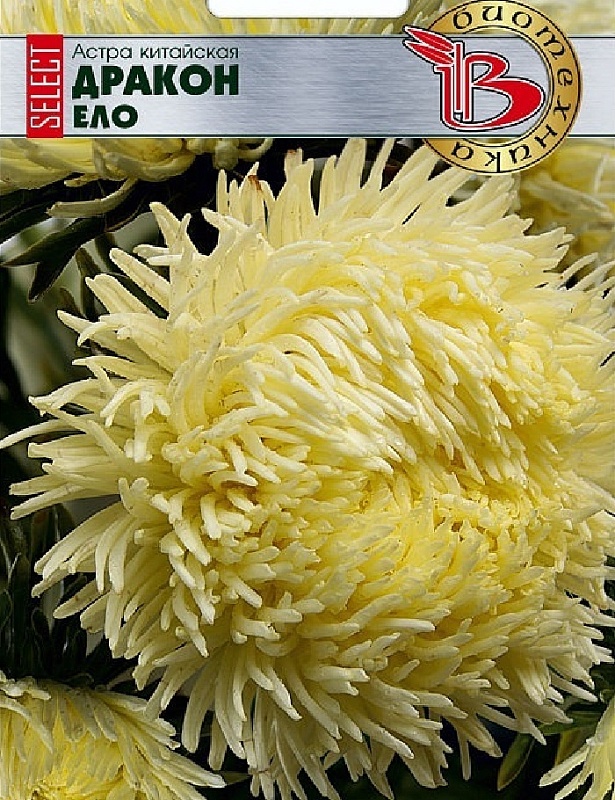 Астра Дракон селект Ело 30 шт