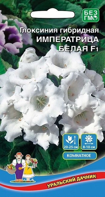 Глоксиния Императрица белая - гибридная F1 (УД) цв.п  5 шт