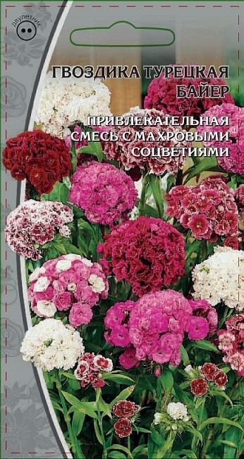 Гвоздика турецкая Байер 0,5 гр