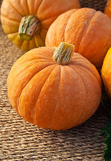 Тыква крупноплодная Улыбка 2 гр цв.п