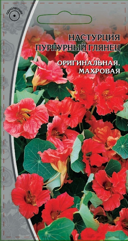 Настурция Пурпурный глянец  1 гр