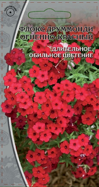 Флокс друммонди Огненно-красный 0,1 гр