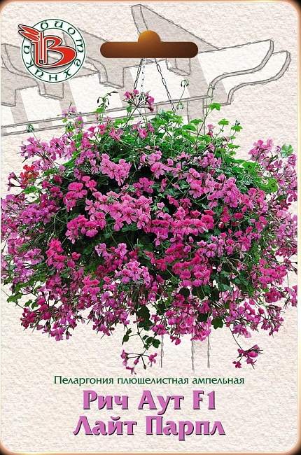 Пеларгония плющелистная ампельная Рич Аут F1 Лайт Парпл 5 шт