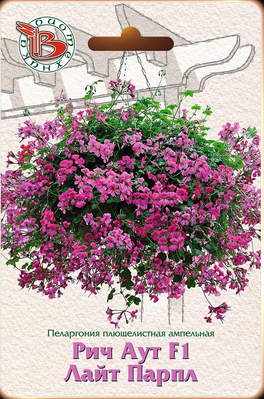 Пеларгония плющелистная ампельная Рич Аут F1 Лайт Парпл 5 шт