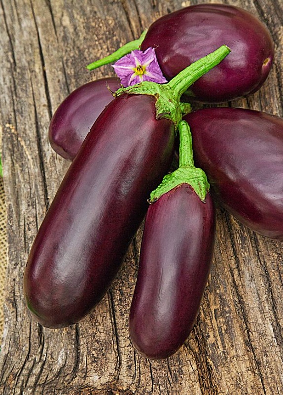 Баклажан Универсал 6 0,1 гр цв.п.