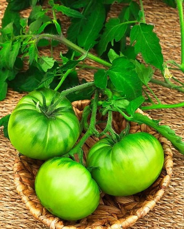 Томат Сибирский конфитюр (Сибирский киви) F1 0,1 гр цв.п.