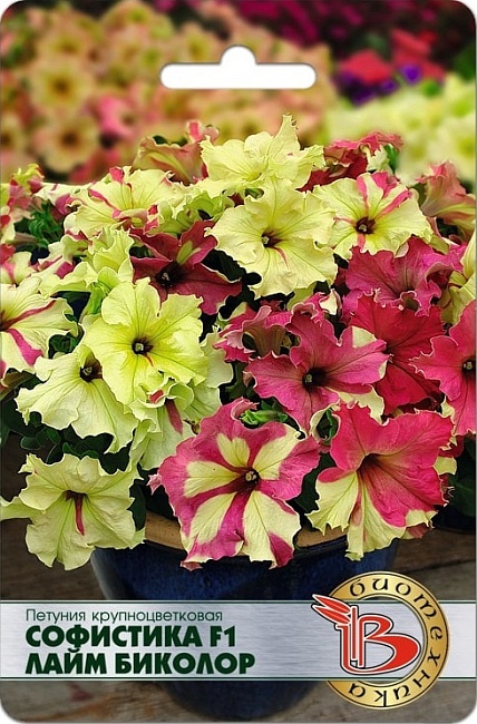 Петуния Софистика F1 Лайм Биколор 6 шт 