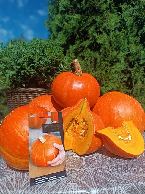 Тыква Русский деликатес (УД) 5 шт