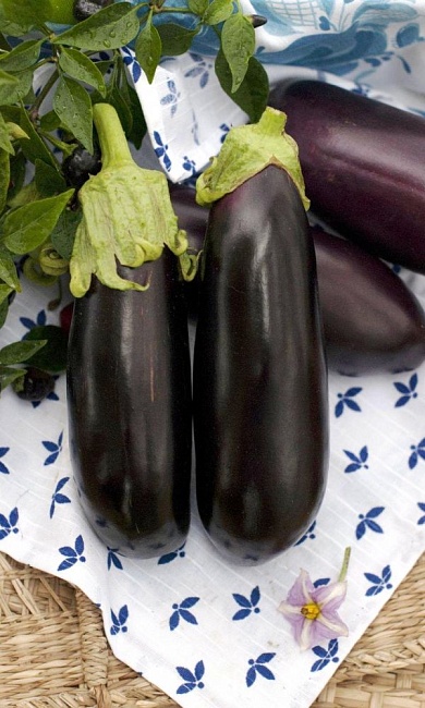 Баклажан Принц Сказочный (УД) 20 шт цв.п.