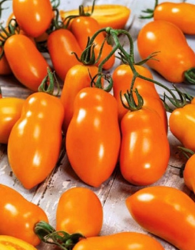 Томат Лисьи ушки 0,05 гр цв.п