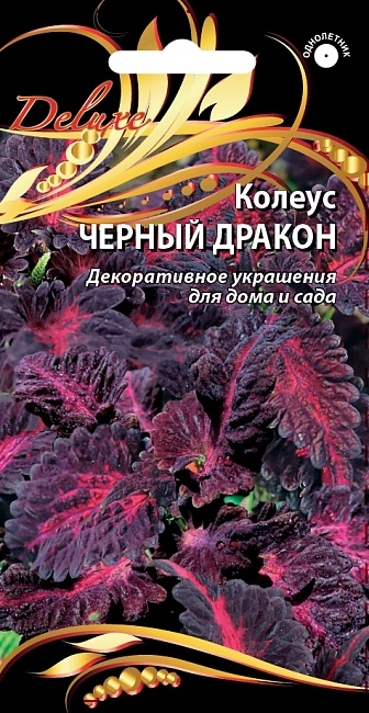 Колеус Черный дракон 10 шт
