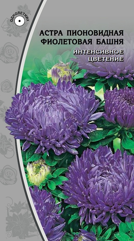 Астра пионовидная Фиолетовая башня  0,2 гр