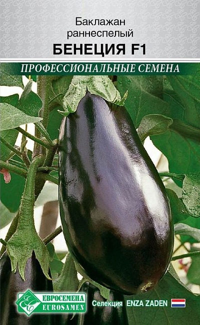 Баклажан Бенеция F1 (Enza Zaden) 7шт цв.п.