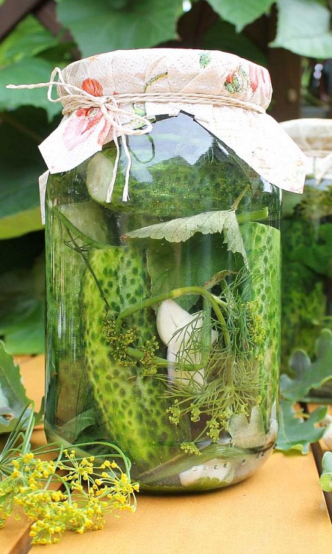 Огурец Деревенский хит Смесь Сортов для засолки и консервирования (УД) 12 шт цв п