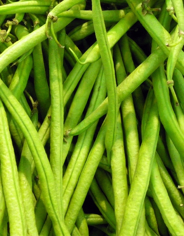 Фасоль спаржевая Журавушка  (УД) 10 шт цв п