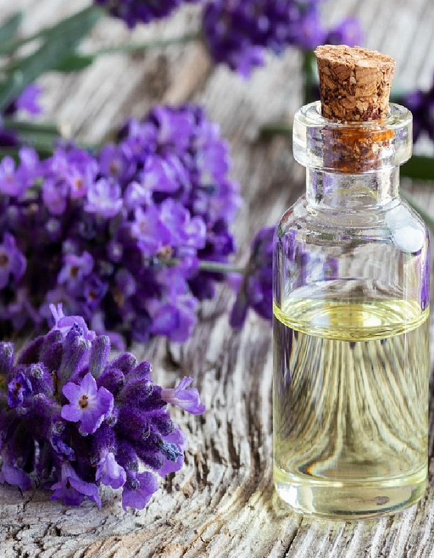 Лаванда Волшебный аромат (УД) 0,05 гр цв п