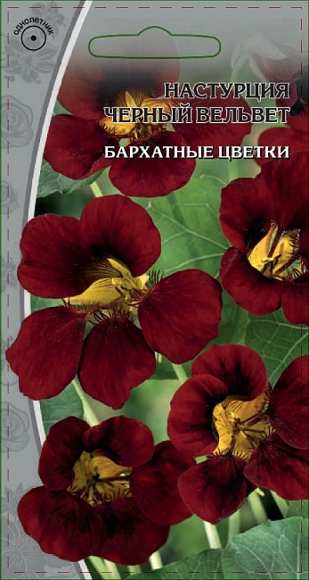 Настурция Черный вельвет 1 гр