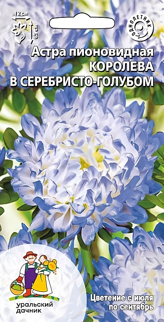Астра пионовидная Королева в серебристо-голубом (УД) 0,25 гр цв п