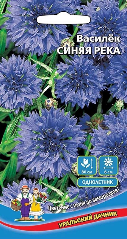 Василек Синяя река (УД) 0,2 гр. цв.п