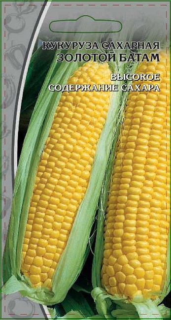 Кукуруза Золотой батам сахарная 5гр цв.п.